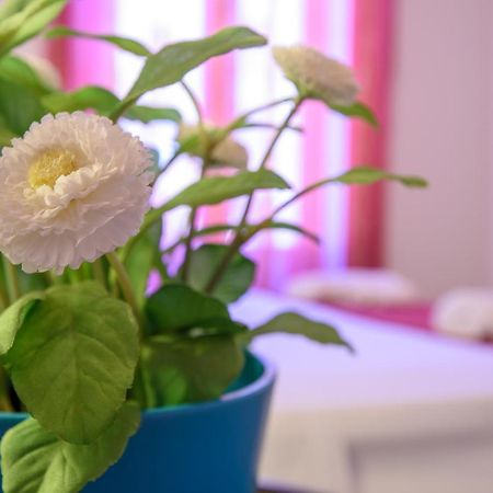Housestation 팔레르모 외부 사진